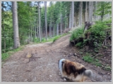 Slika_012.webp