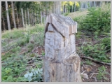 Slika_013.webp