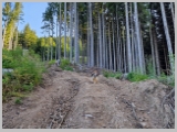 Slika_014.webp