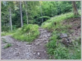 Slika_015.webp