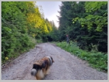 Slika_016.webp