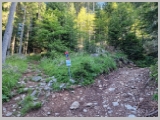 Slika_017.webp