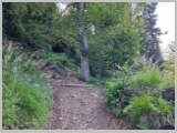 Slika_021.webp