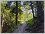 Slika_023.webp