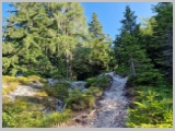 Slika_024.webp
