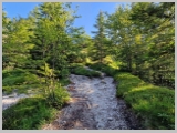Slika_025.webp