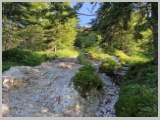 Slika_026.webp