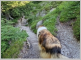 Slika_028.webp
