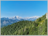 Slika_031.webp