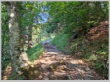 Slika_034.webp