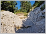 Slika_037.webp
