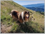 Slika_045.webp