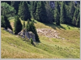 Slika_073.webp