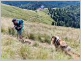 Slika_074.webp