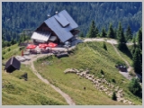 Slika_077.webp
