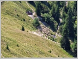 Slika_078.webp
