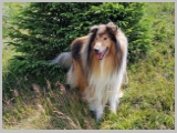 Slika_079.webp
