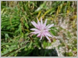 Slika_088.webp