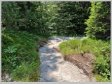 Slika_093.webp