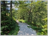 Slika_094.webp