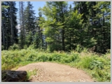 Slika_096.webp