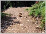 Slika_097.webp