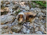 Slika_104.webp