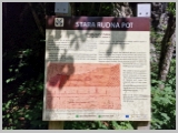 Slika_107.webp