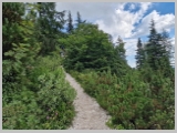 Slika_002.webp