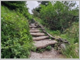 Slika_003.webp