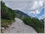 Slika_004.webp