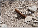 Slika_007.webp