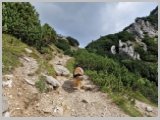 Slika_011.webp
