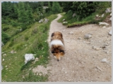 Slika_012.webp
