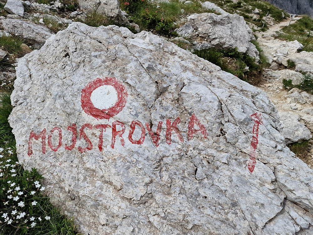 Slika je vidna v Google Chromu.