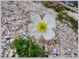 Slika_016.webp