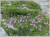 Slika_018.webp