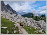 Slika_022.webp