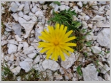 Slika_038.webp