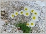 Slika_039.webp