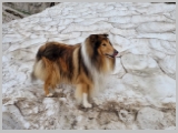Slika_041.webp