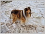 Slika_042.webp