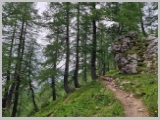 Slika_043.webp