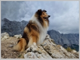 Slika_053.webp