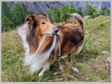 Slika_063.webp