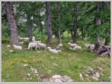 Slika_065.webp