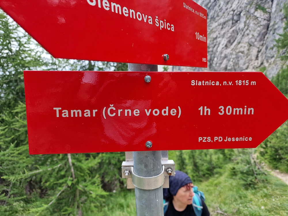 Slika je vidna v Google Chromu.