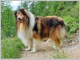 Slika_076.webp