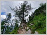 Slika_079.webp
