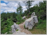 Slika_082.webp